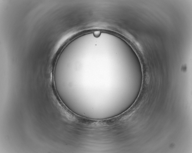 X0000093381368200711011241