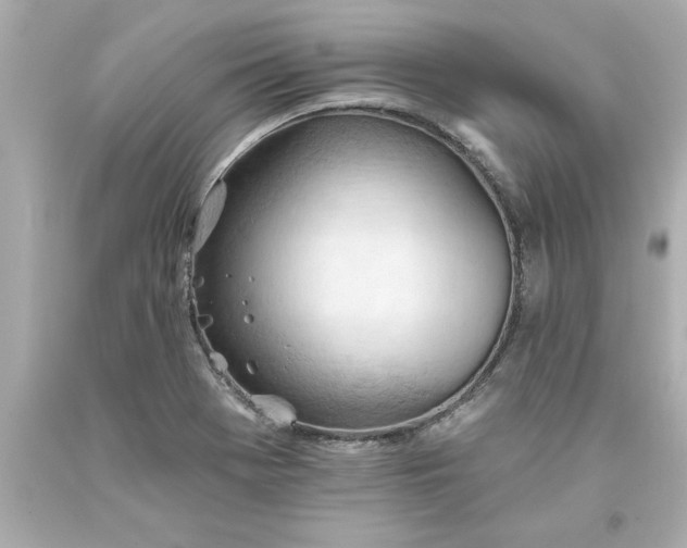 X0000093381369200711011241