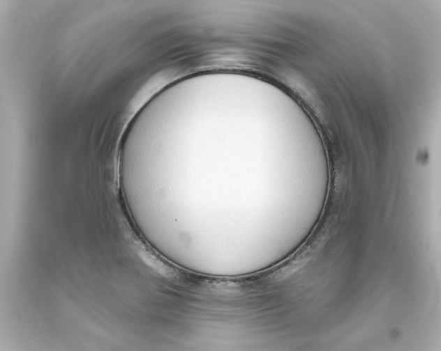 X0000093381370200711011241