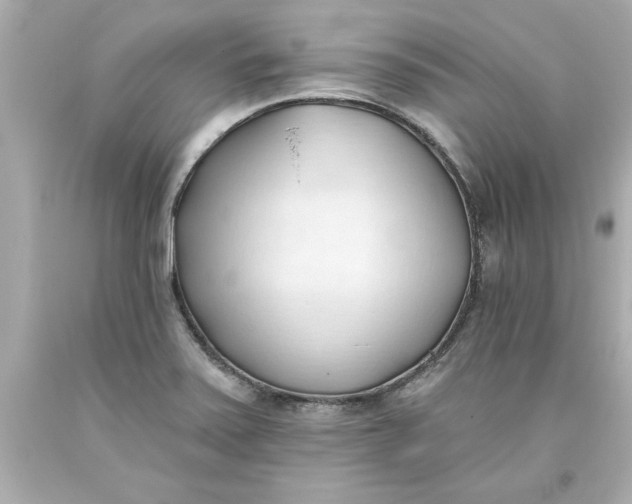 X0000093381371200711011241