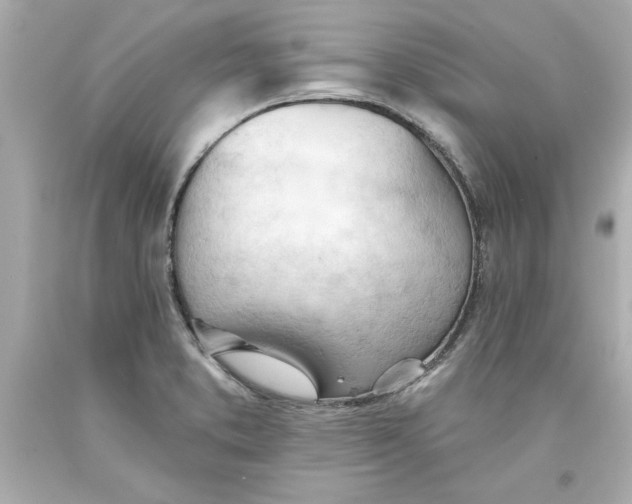 X0000093381373200711011241