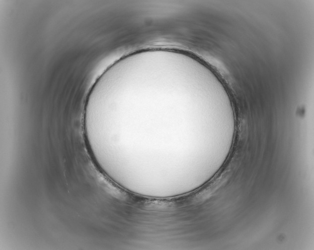 X0000093381374200711011241