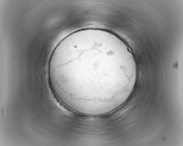 X0000093381375200711011241