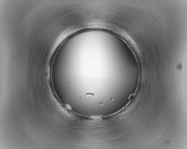 X0000093381376200711011241