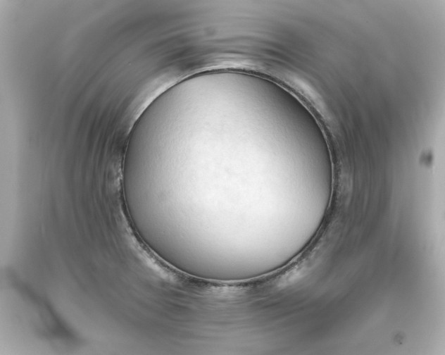 X0000093381377200711011241