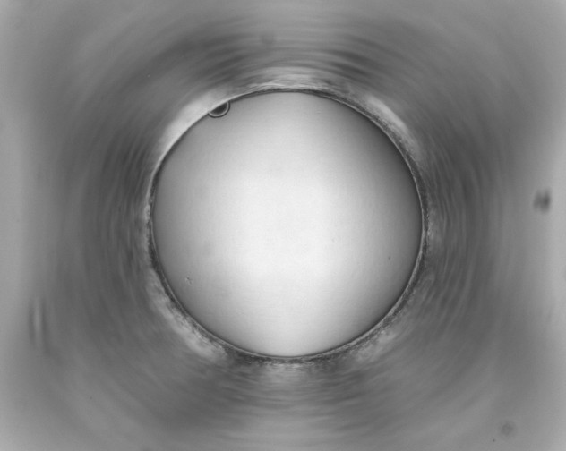 X0000093381378200711011241