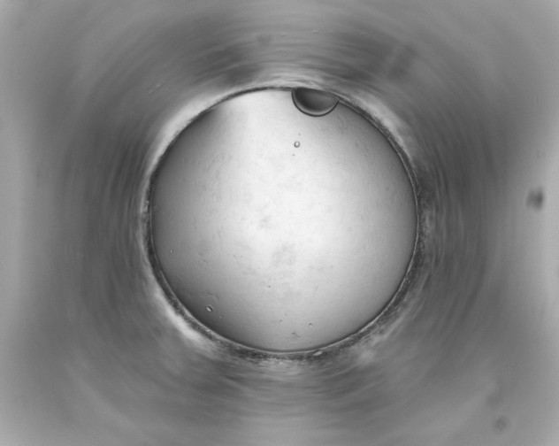 X0000093381379200711011241