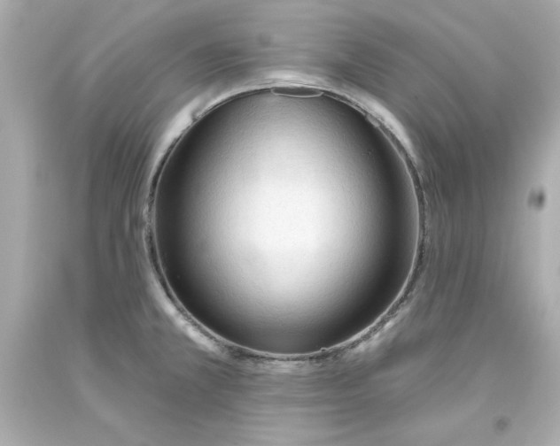 X0000093381381200711011241