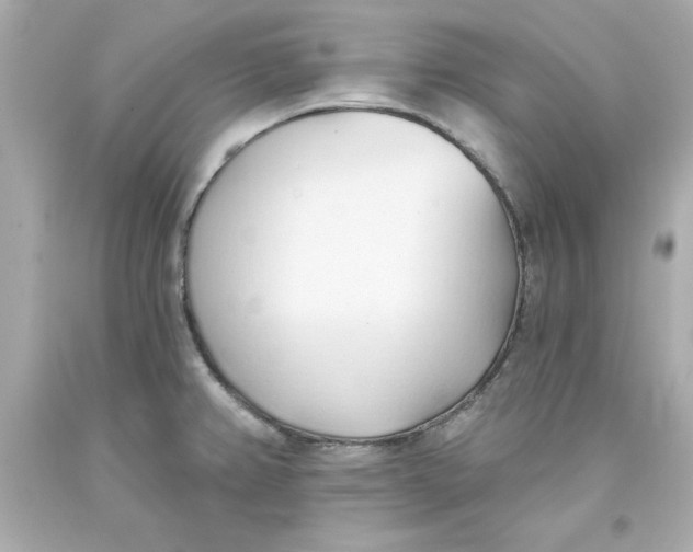 X0000093381382200711011241