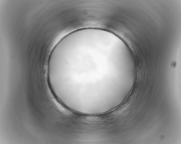 X0000093381383200711011241