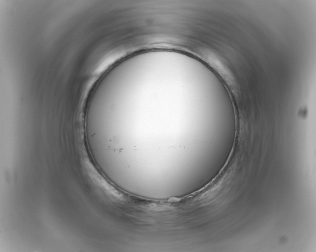 X0000093381384200711011241