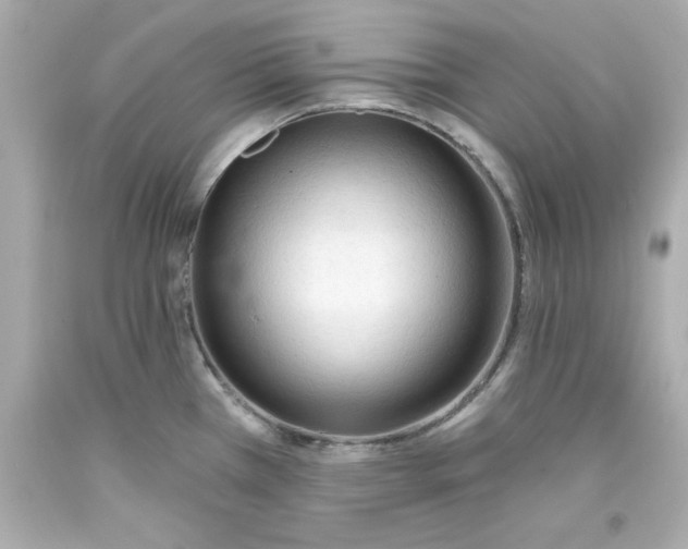 X0000093381385200711011241