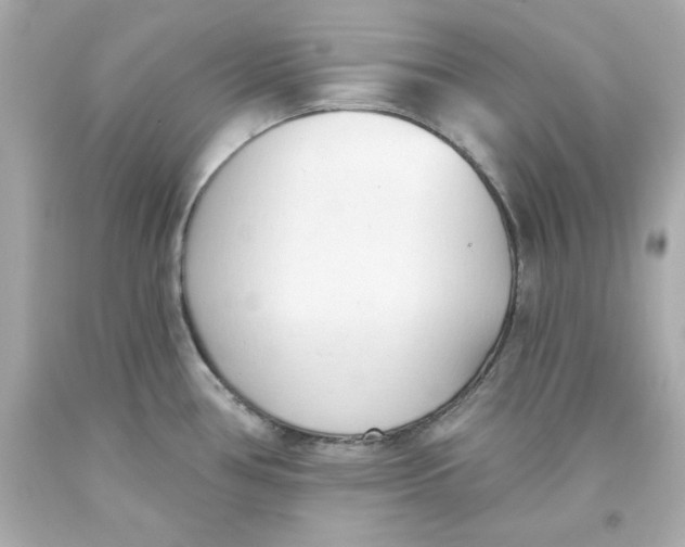 X0000093381386200711011241