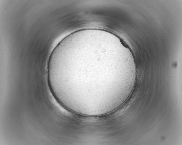 X0000093381387200711011241