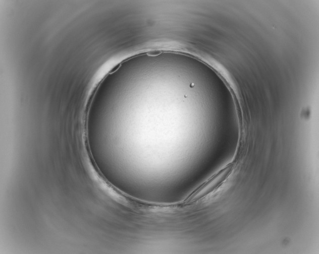 X0000093381389200711011241