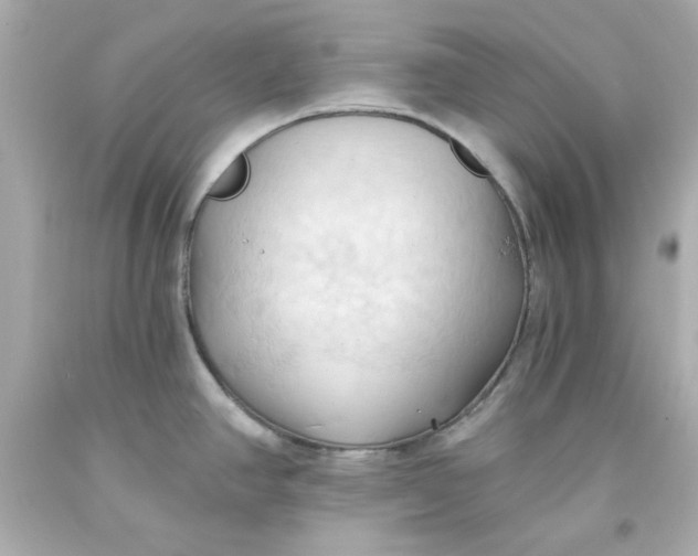 X0000093381390200711011241