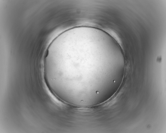 X0000093381391200711011241