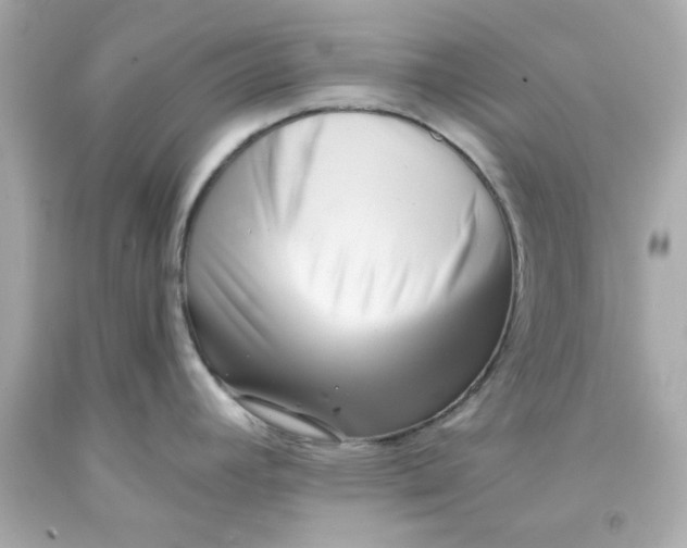 X0000093381392200711011241