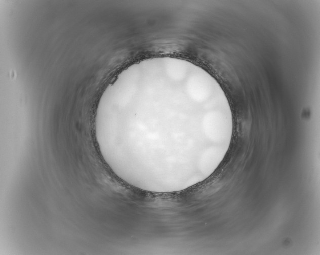 X0000093381393200711011240