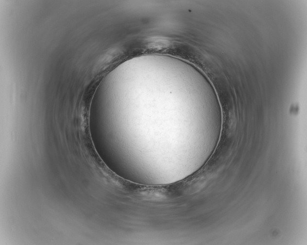 X0000093381394200711011240