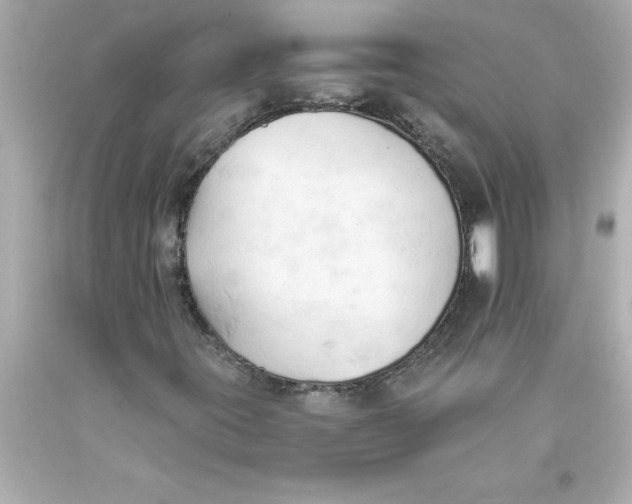 X0000093381395200711011240