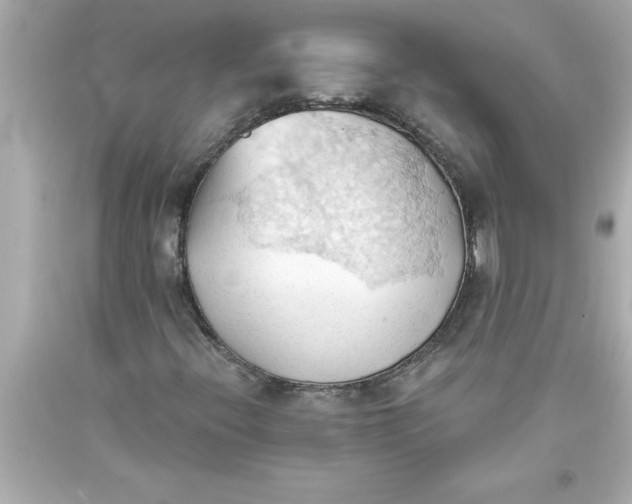 X0000093381396200711011240