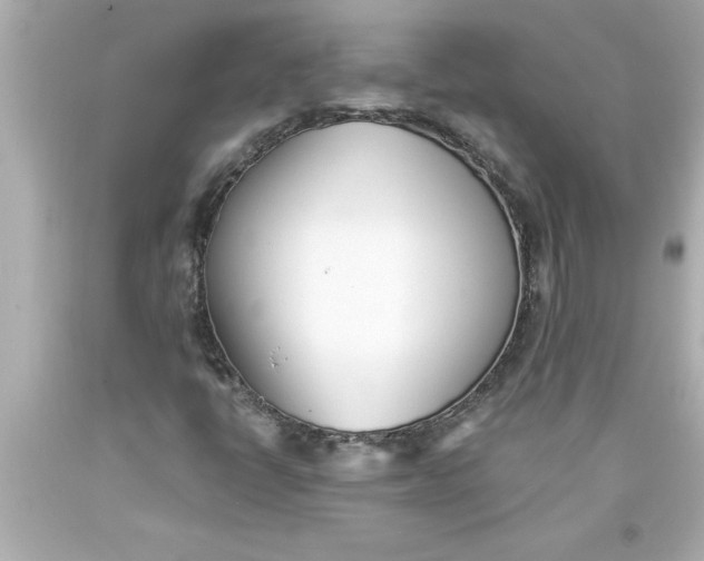 X0000093381398200711011240