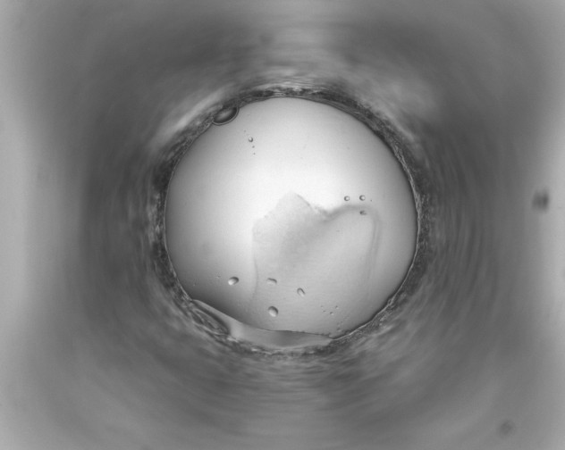 X0000093381399200711011240