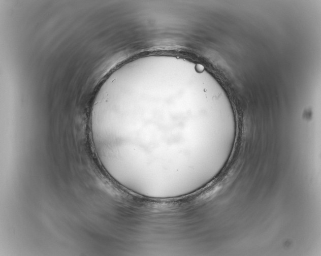 X0000093381401200711011240