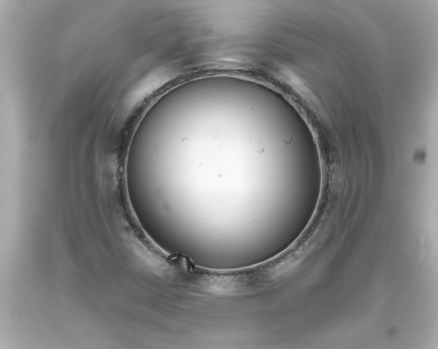 X0000093381402200711011240