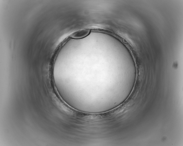 X0000093381404200711011240