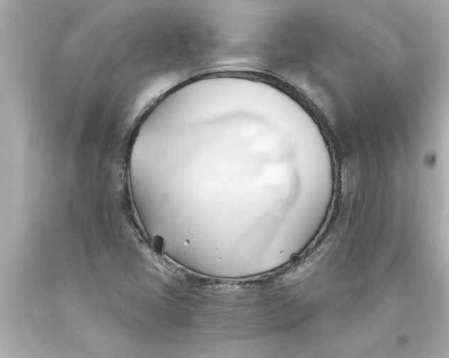 X0000093381405200711011240