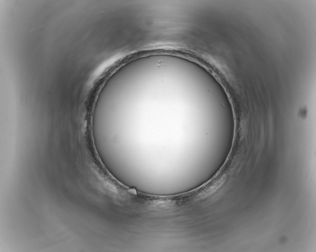 X0000093381406200711011240