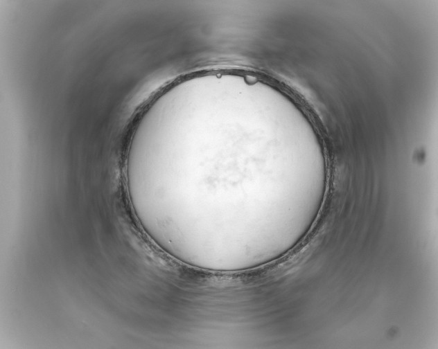 X0000093381407200711011240