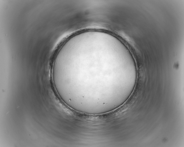 X0000093381408200711011240