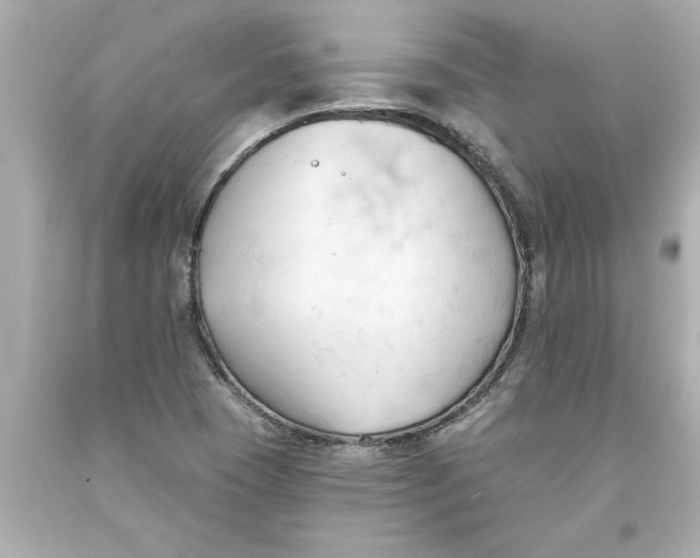 X0000093381409200711011240