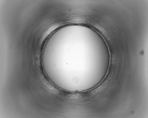 X0000093381410200711011240