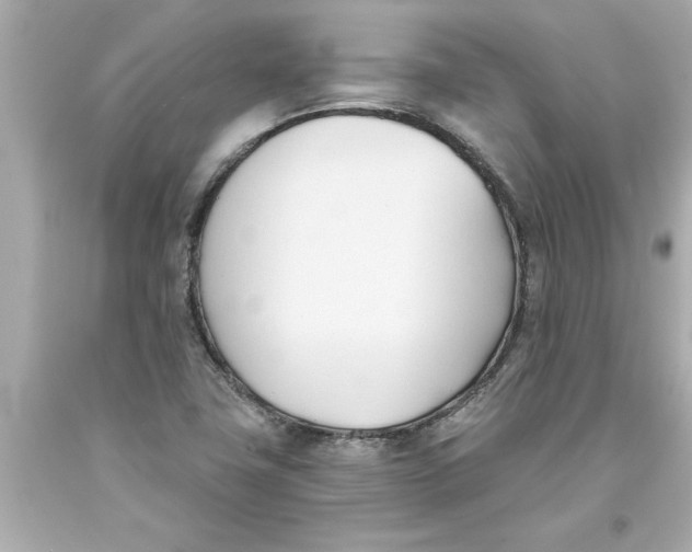 X0000093381411200711011240