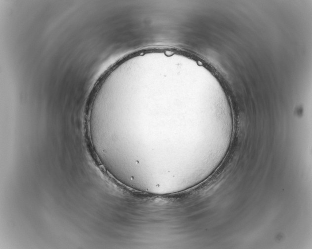 X0000093381412200711011240