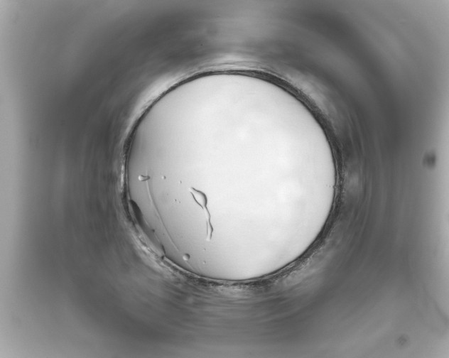 X0000093381413200711011240