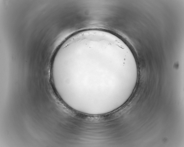 X0000093381415200711011240