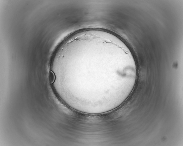 X0000093381416200711011240