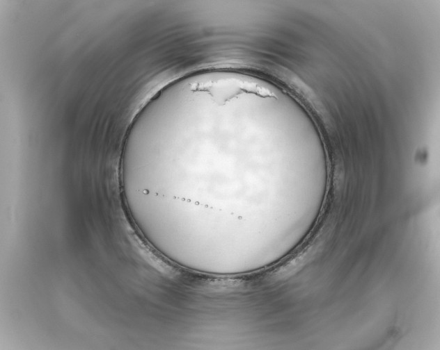 X0000093381417200711011240