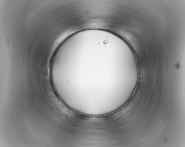 X0000093381419200711011240