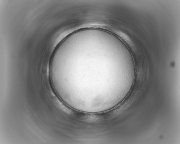 X0000093381420200711011240