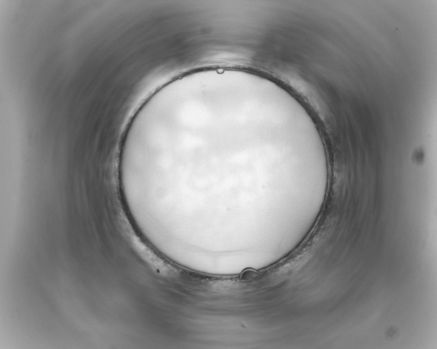 X0000093381421200711011240