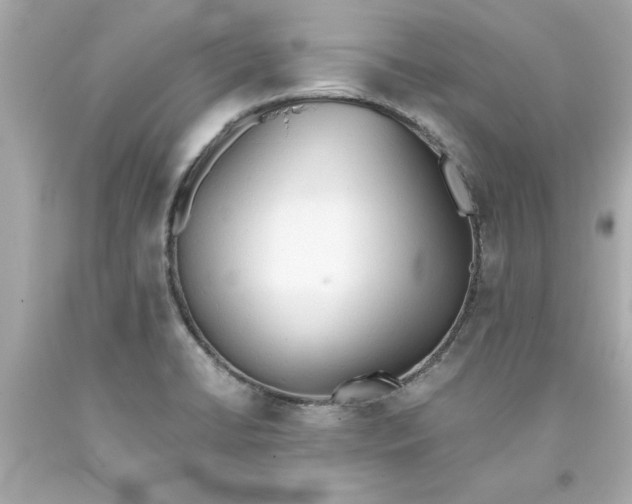 X0000093381422200711011240