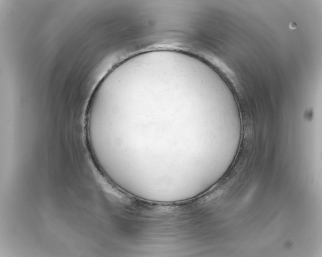 X0000093381423200711011240