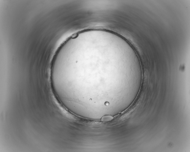 X0000093381424200711011240