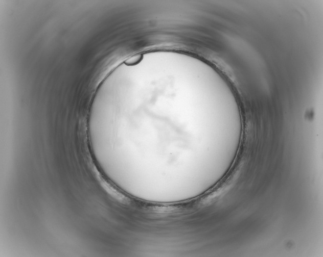 X0000093381425200711011240